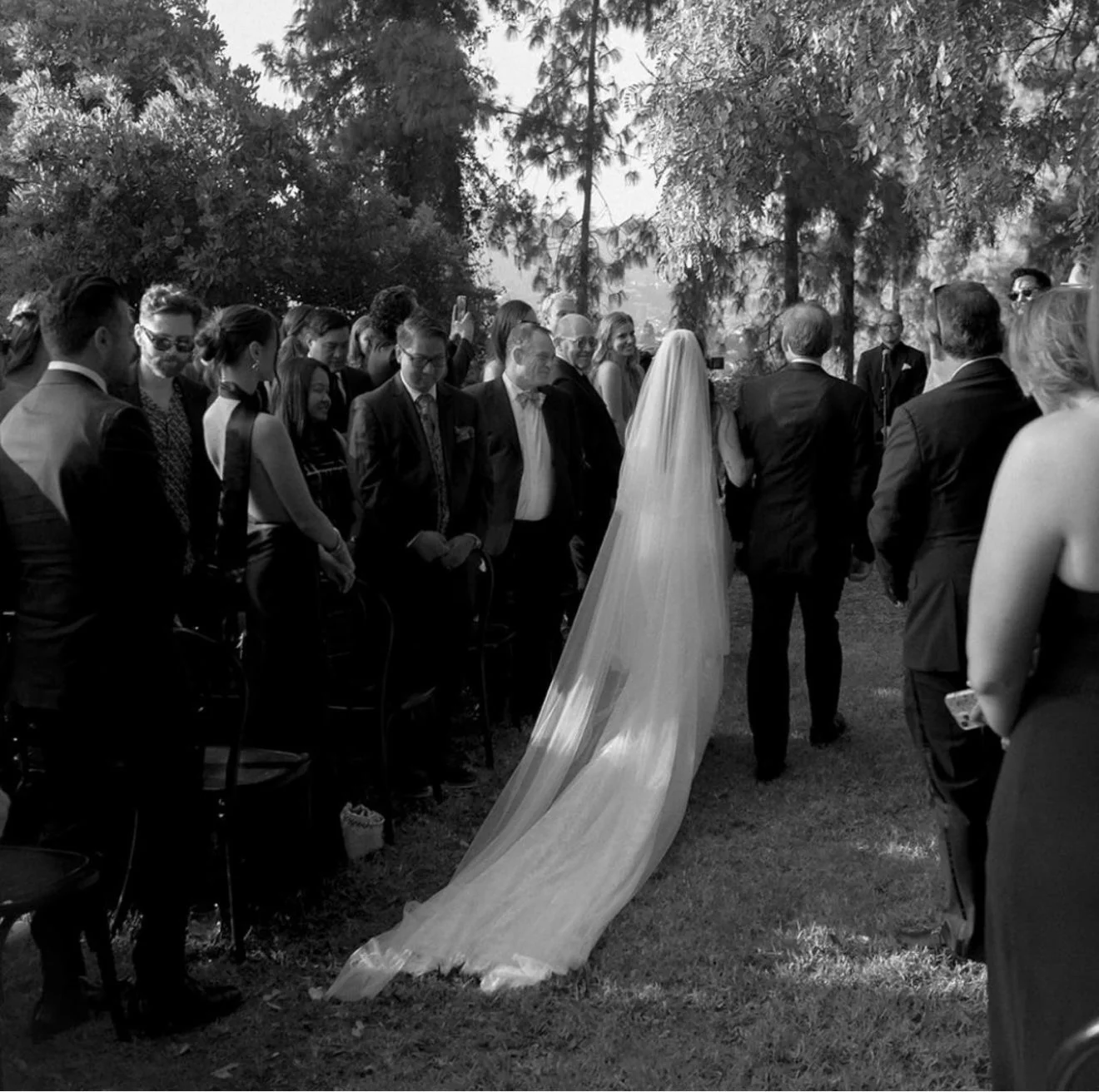 Liz Martinez veil  - Silk Tulle Cathedral veil - Image 4