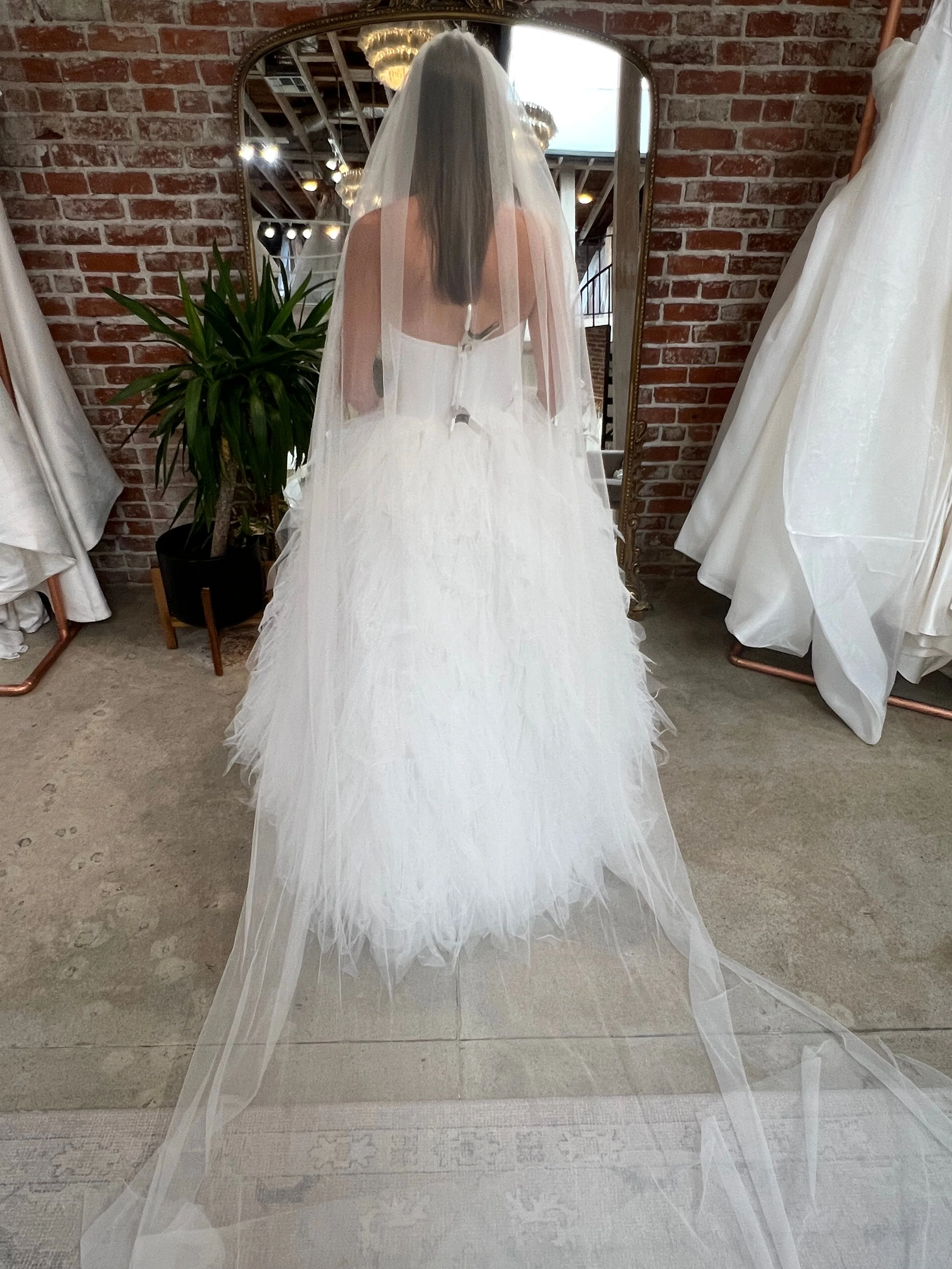 Tal Kadem - Lavie (6) - Image 2